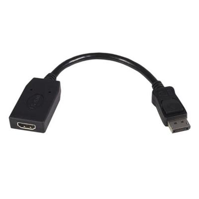 DisplayPort to HDMI Video Converter - video / audio adapter - DisplayPort / HDMI - 9 in