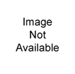 Piaa 30920 Spark Moon Working Display Promo With Power Source - Includ
