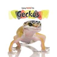 Geckos