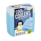 Fit & Fresh Cool Coolers Slim Lunch Ice Packs - Set of 4