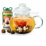 Primula 40-Ounce Glass Teapot with Infuser and Lid with 12 Flowering Teas in a Canister