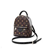 SJMMBB Mini Backpack New Female all-match Crossbody Bag Fashion Leisure stamp,Tuba,21.52510.5cm