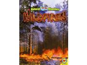Wildfires (natural Disasters)