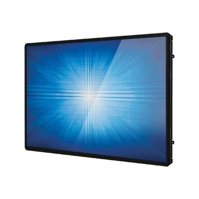Elo Open-Frame Touchmonitors 1790L - LED monitor - 17" - open frame - touchscreen - 1280 x 1024 - 250 cd/m&sup2; - 800:1 - 5 ms - VGA  DisplayPort - black