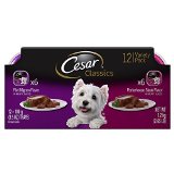 CESAR Canine Cuisine Variety Pack Filet Mignon & Porterhouse Steak Dog Food (Two 12-Count Cases)