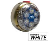 Bluefin Led Dl12 Industrial Dock Light - Diamond White