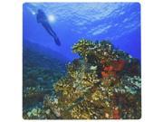 3dRose LLC 8 x 8 x 0.25 Inches Mouse Pad, Scuba Divers Molokini Crater Maui Hawaii Stuart Westmorland (mp_89946_1)