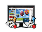 Nspire CAS Teacher Software Type: N/A
