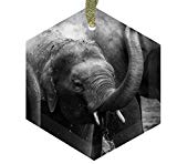 Home Accents jciuvaihnn0 nashad abdu - Crystal Christmas Ornament
