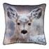 The Oh Deer Cushion from Catherine Lansfield is a great addition for your home. The cushion is made from ultra-soft polyester velvet and features a majestic deer design. Machine washable and comfortable, the cushion is a great gift for any animal lover. ?M.R  Features:     Catherine Lansfield Filled Oh Deer Cushion  A great addition for your home  Made from ultra-soft polyester velvet  Features a majestic deer design  Machine washable  A great gift for any animal lover   Dimensions: 43 x 43cm