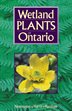 Wetlands--lakes, rivers, marshes, swamps, bogs and fens--are an integral part of the Ontario landscape