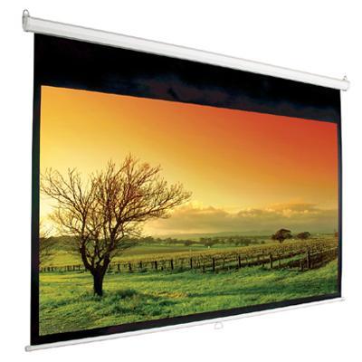 When looking for design that also delivers top performance  choose Mustang's Projection Screen