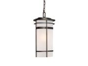 Capital Lighting Lakeshore 1 Light Hanging Lantern, Old Bronze - 9885OB