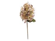 Vickerman 35634 - 29" Champagne Velvet Hydrangea 7" Flower (O146738) Type: Decorations Color: Champagne