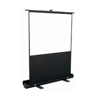 The perfect solution for the road warrior who needs to deliver a professional presentation.