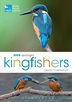 Usually observed as a flash of blue and orange from a riverbank, most people are aware of Kingfishers, but few of us are familiar with the intricacies of their day-to-day lives.With their long, dagger-like bills, bright blue plumage and characteristic fast, low flight over water, Common Kingfishers are instantly recognizable thanks to a massive range that stretches from Ireland, across Europe, North Africa and Asia as far as Australasia