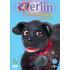 In these five fun filled adventures, dreams are only a wish away for Merlin and his magical red collar. Merlin's nose for adventure finds the mischievous black Labrador puppy getting himself into more unexpected predicaments.  Episodes Comprise:    Merlin the Artist  Merlin and the Big Top  Island of Sausages  The Well Behaved Puppy