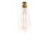 Retro squirrel cage style filament light bulb with a bayonet fitting from eco-friendly brand Nkuku. The 40-watt Edison bulb contains up to 3,000 hours of life and is perfect for adding contemporary, vintage-inspired style to your home or professional space. &ndash; L.R.  Clear Glass  Fitting: B22 (Bayonet)  Dimensions: H: 13 x Dia: 6cm