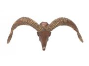 BENZARA 54891 Fabulous Polystone Goat Horn Decor 18"W 7"HH Type: Decorations