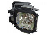 eReplacements POA-LMP116 Replacement Lamp for Sanyo POA-LMP116-ER
