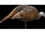 Dinner Belle Hen Turkey Decoy Brand: 0043