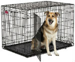 "MidWest Life Stages ACE-442DD Brand New Includes Two Year Warranty, The MidWest ACE-442DD Double Door MAXLock Dog Crate is designed completely around the safety, security and comfort for dogs