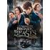 ?Fantastic Beasts and Where to Find Them? takes us to a new era of J.K. Rowling?s Wizarding World, decades before Harry Potter and half a world away.  Academy Award winner Eddie Redmayne (?The Theory of Everything,? ?The Danish Girl?) stars in the central role of Magizoologist Newt Scamander, under the direction of David Yates, who helmed the last four ?Harry Potter? blockbusters.  There are growing dangers in the wizarding world of 1926 New York.  Something mysterious is leaving a path of destruction in the streets, threatening to expose the wizarding community to the No-Majs (American for Muggles), including the Second Salemers, a fanatical faction bent on eradicating them.  And the powerful, dark wizard Gellert Grindelwald, after wreaking havoc in Europe, has slipped away?and is now nowhere to be found.   Unaware of the rising tensions, Newt Scamander arrives in the city nearing the end of a global excursion to research and rescue magical creatures, some of which are safeguarded in the magical hidden dimensions of his deceptively nondescript leather case.  But potential disaster strikes when unsuspecting No-Maj Jacob Kowalski inadvertently lets some of Newt?s beasts loose in a city already on edge?a serious breach of the Statute of Secrecy that former Auror Tina Goldstein jumps on, seeing her chance to regain her post as an investigator.  However, things take an ominous turn when Percival Graves, the enigmatic Director of Magical Security at MACUSA (Magical Congress of the United States of America), casts his suspicions on both Newt?and Tina.  Now allied, Newt and Tina, together with Tina?s sister, Queenie, and their new No-Maj friend, Jacob, form a band of unlikely heroes, who must recover Newt?s missing beasts before they come to harm.  But the stakes are higher than these four outsiders?now branded fugitives?ever imagined, as their mission puts them on a collision course with dark forces that could push the wizarding and No-Maj worlds to the brink of war.  Click Images to Enlarge