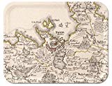Trays4Us Tallinn Estonia Vintage 1798 Map Birch Wood Veneer 16x12 inches (Large) TV/Serving Map Tray - 100  Different Designs