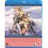 Years ago, humanity abandoned the ruined Earth. Generations later,  with the planet again capable of sustaining life, mankind returned. In  the skies above the reborn world, rebellious young Fam and her best  friend Giselle make their living as Sky Pirates. Atop sleek Vespa  Vanships, the girls dart fearlessly through the clouds, capturing and  selling airborne battleships for profit. It's a life of care-free  swashbuckling - until the Ades Federation attacks.  The only nation  to remain on Earth during humanity's exile, The Ades Federation wages  war against those who returned only after the planet's darkest days had  passed. When Fam and Giselle rescue a princess from the clutches of the  rampaging Ades armada, they join the young royal's battle to save her  Kingdom from destruction - and undertake the impossible mission of  uniting humanity in peace.  Contains episodes 12-21 plus episode 15.5.