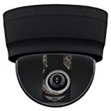 Ganz DCB-39-BL 600TVL Day/Night Dome Camera, 3-9mm